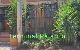 Terminal Pajaritos